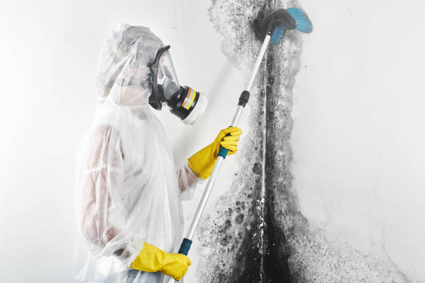 Dehumidification Services in Claymont, DE