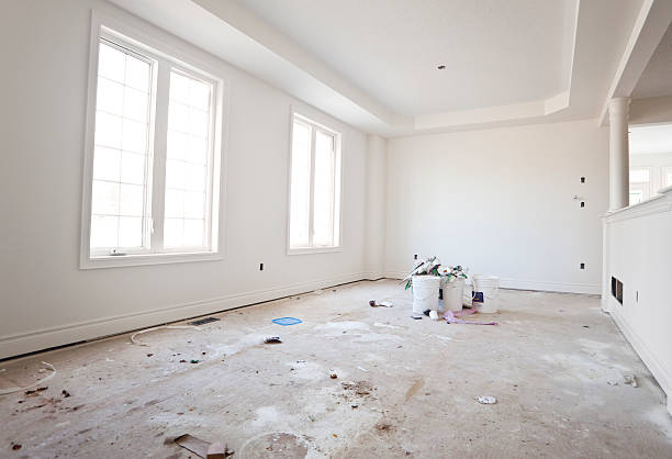 Reliable Claymont, DE Mold Removal Solutions