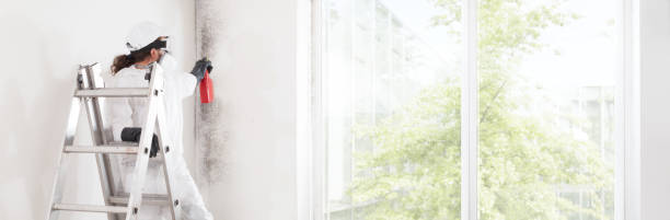 Mold Documentation for Insurance Claims in Claymont, DE